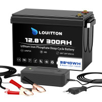 12V 300AH 3840WH LifePo4 Accu met BMS